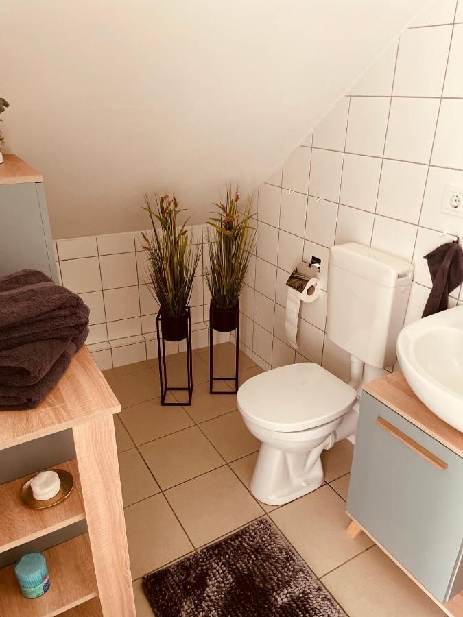 Altstadt Apartment Freiberg