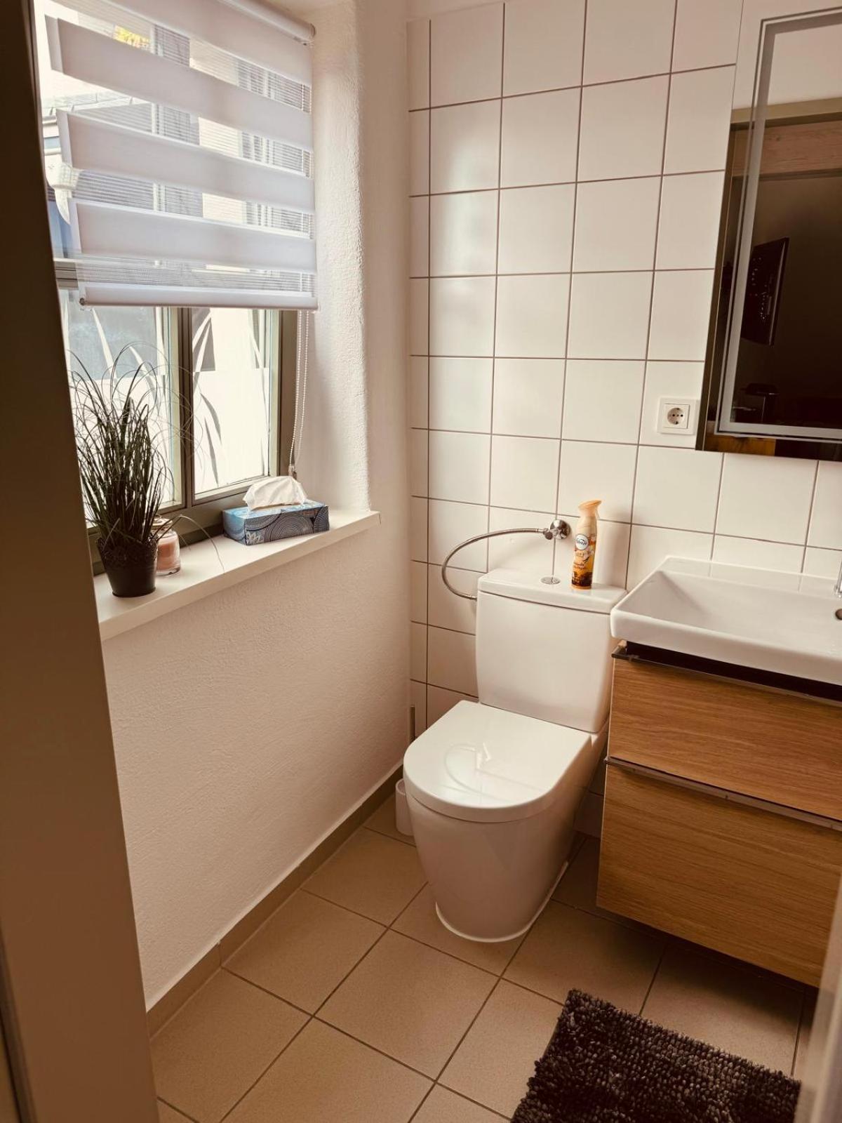 Apartment Altstadt Freiberg